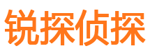 青云谱市私家侦探